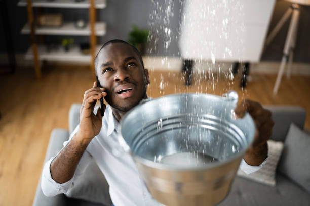 Best Flood damage cleanup  in Three Lakes, WA
