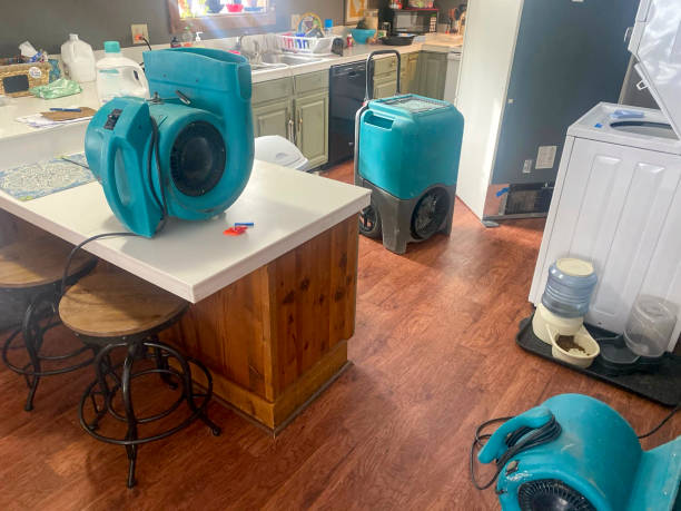 Best Sewage cleanup and water damage restoration  in Three Lakes, WA