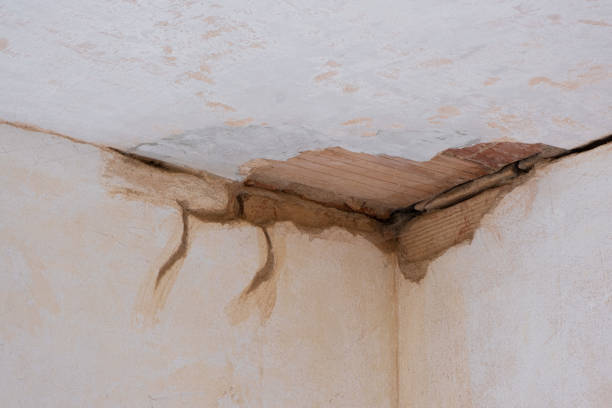 Best Water damage restoration services  in Three Lakes, WA