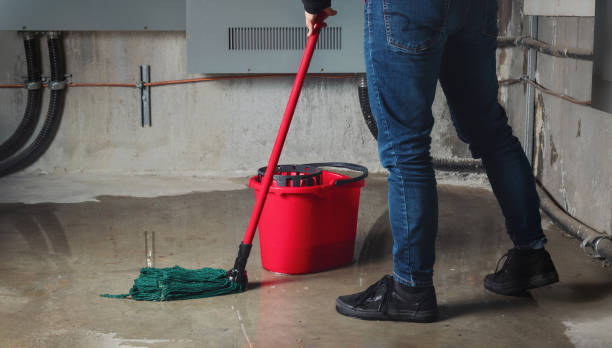 Best Water damage cleanup near me  in Three Lakes, WA