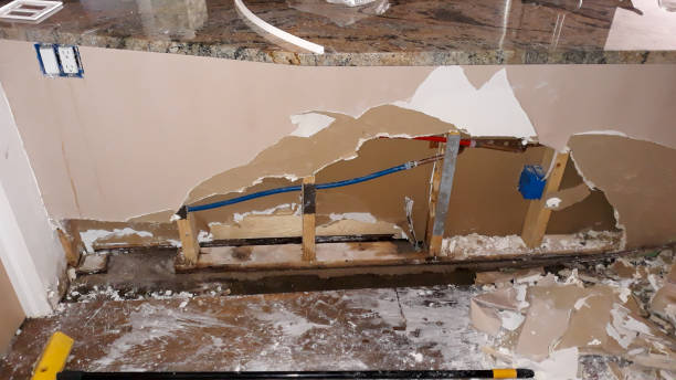 Carpet water damage restoration in Three Lakes, WA