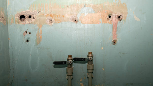 Best Fire Damage Restoration  in Three Lakes, WA