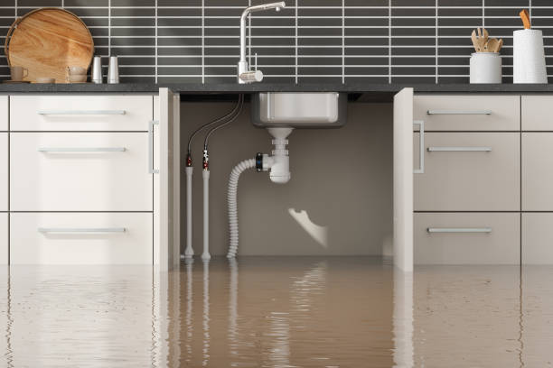 Best Emergency water extraction  in Three Lakes, WA